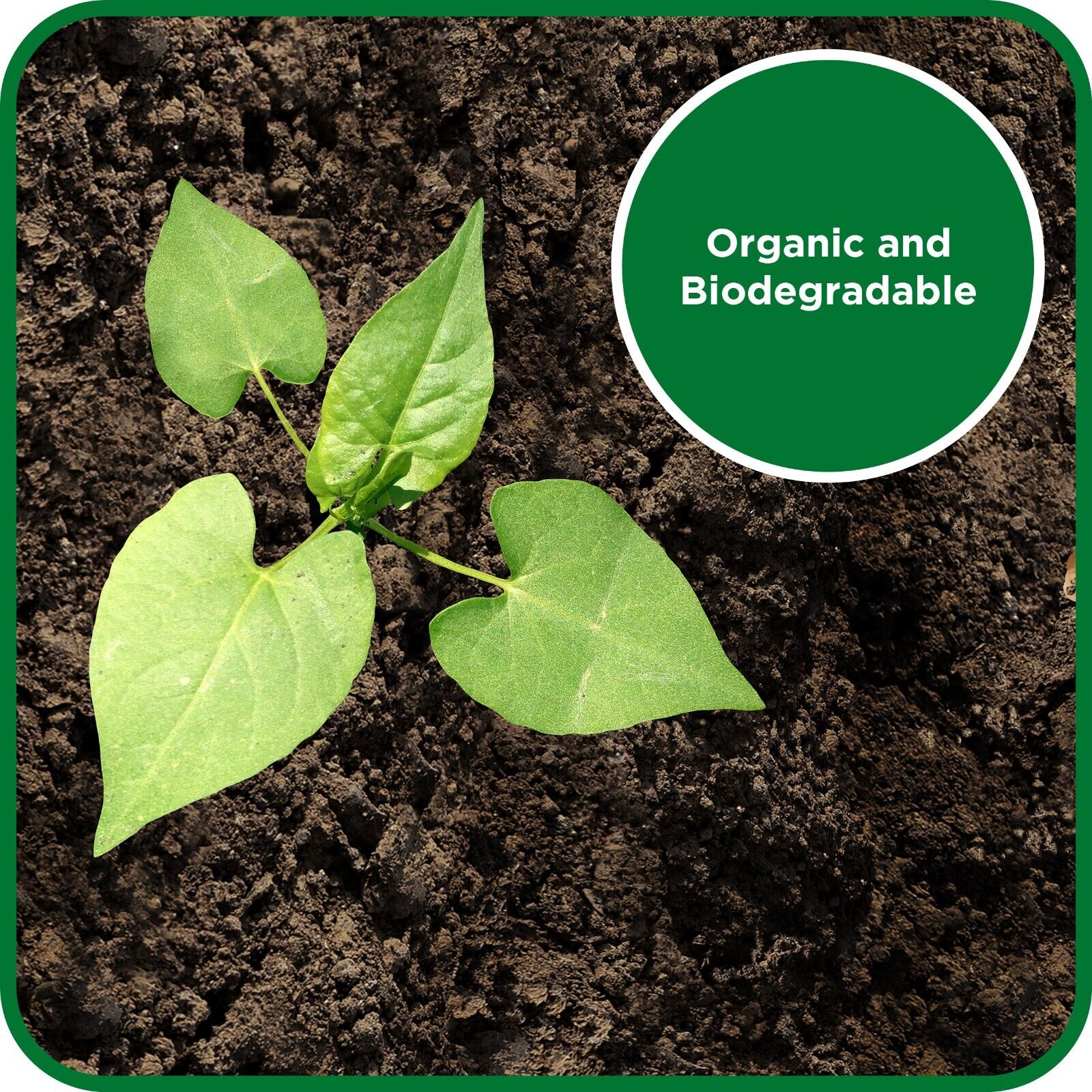 Garden Acetic Acid Vinegar Concentrated Glyphosate Free Horticulture 5L |  eBay